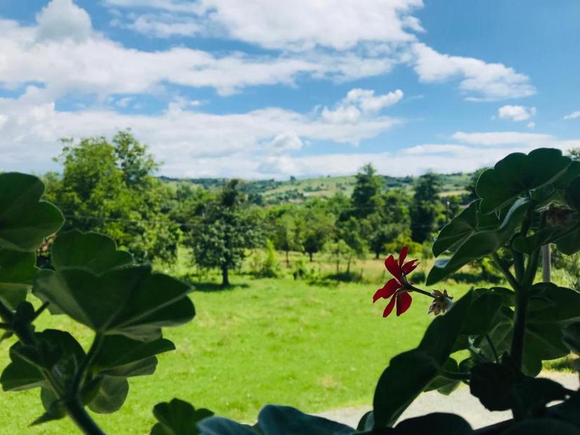 Agropensiunea Duminora